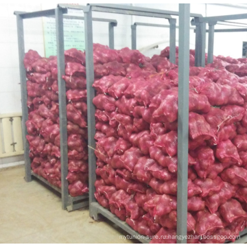 Лилейный Vegetabless свежий красный лук с завода с быстрой доставкой